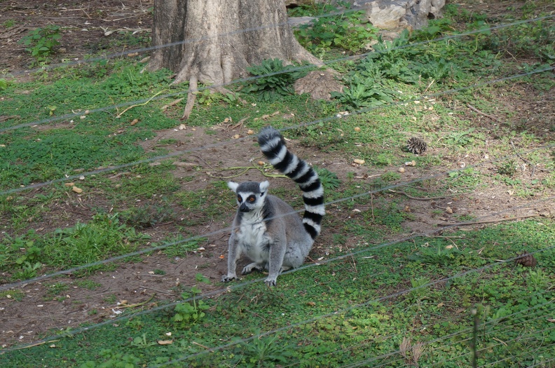 DSC04173