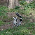 DSC04173.JPG