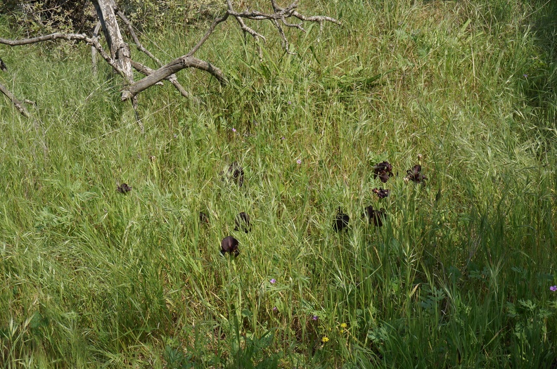 DSC04277