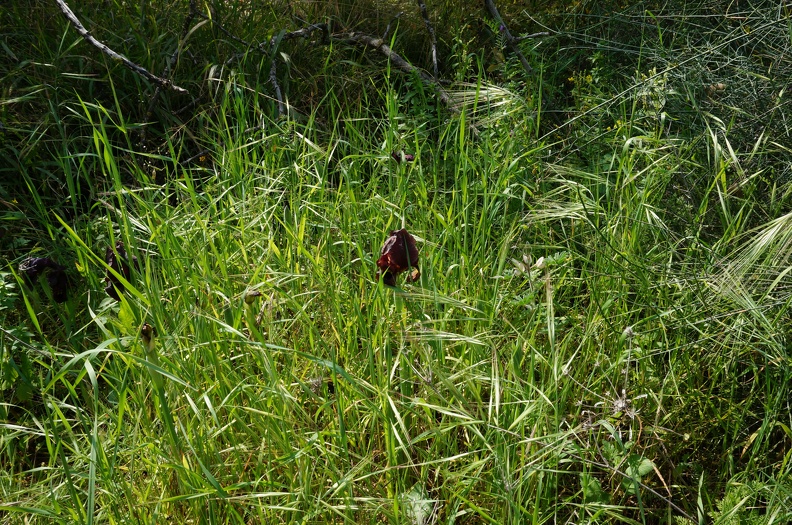 DSC04280