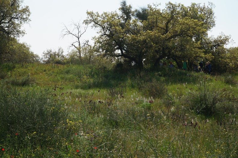 DSC04292