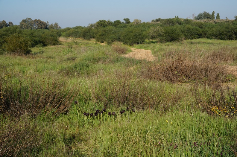 DSC04245