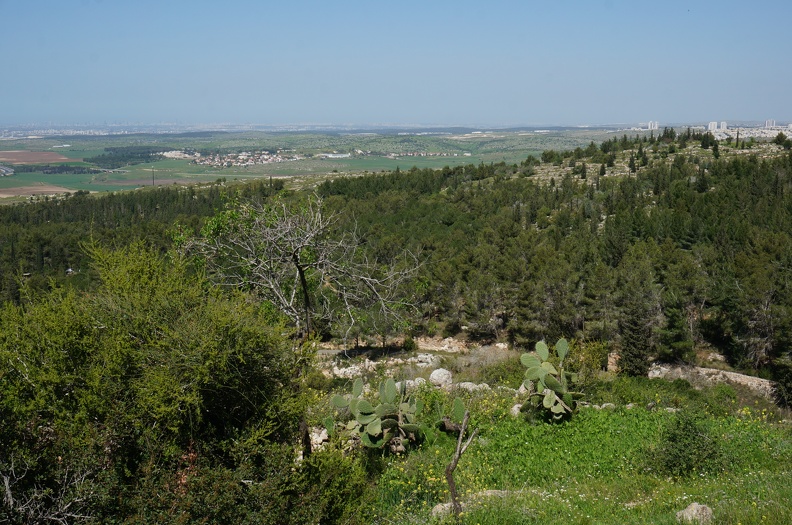 DSC04303