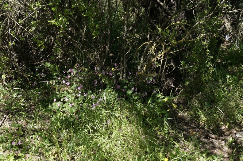 DSC04315