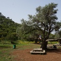 DSC04375