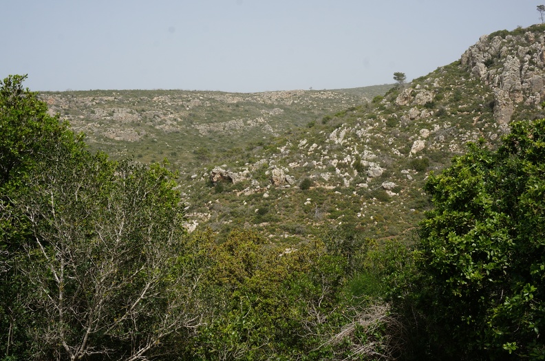 DSC04394