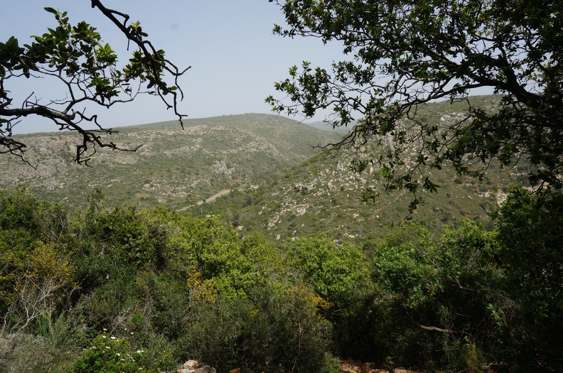 DSC04404