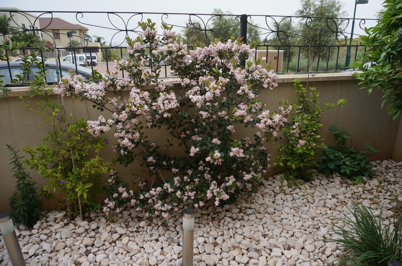 DSC04427