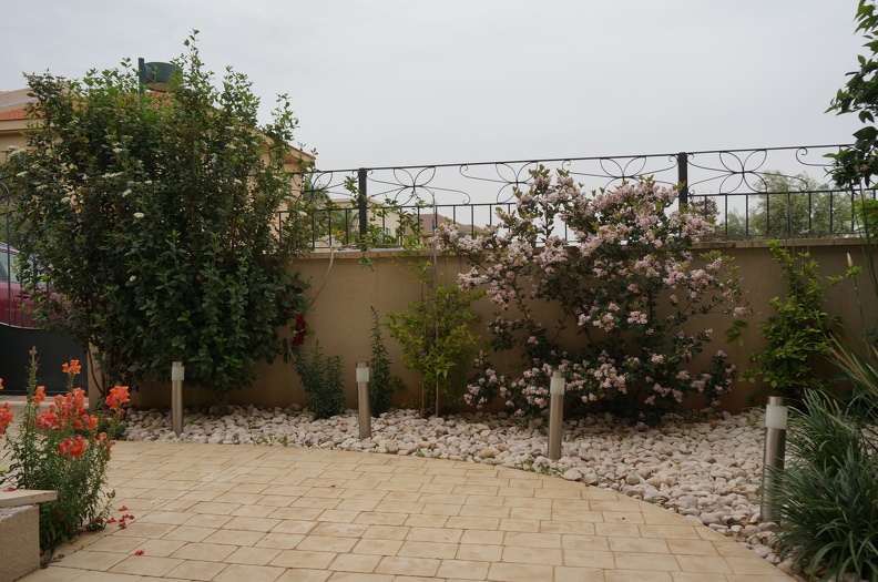 DSC04429