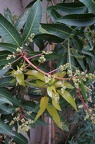 DSC04437