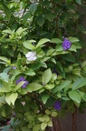 DSC04444