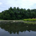 IMG 20160717 124756