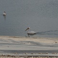 DSC05813