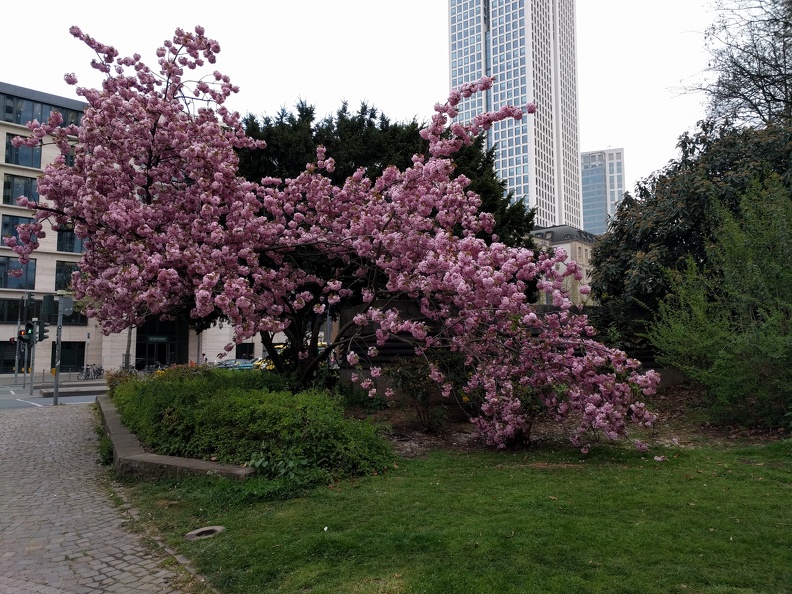 IMG 20170407 093246