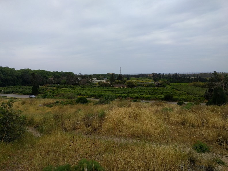 IMG 20170409 142314