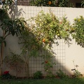 DSC04336