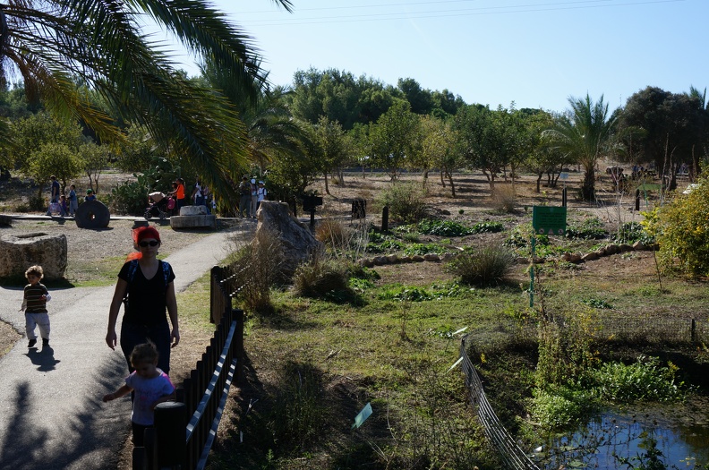 DSC04065