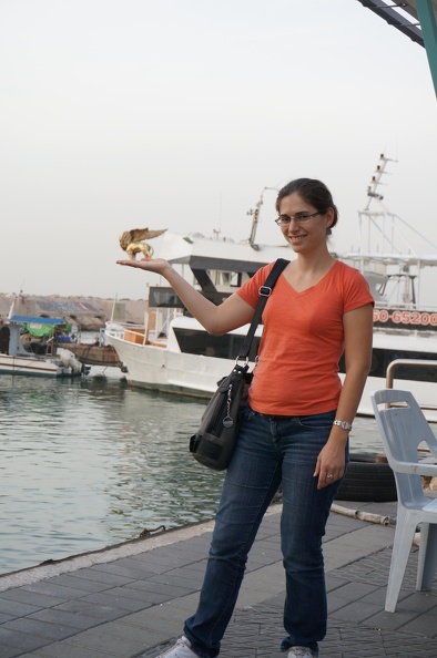 DSC04230