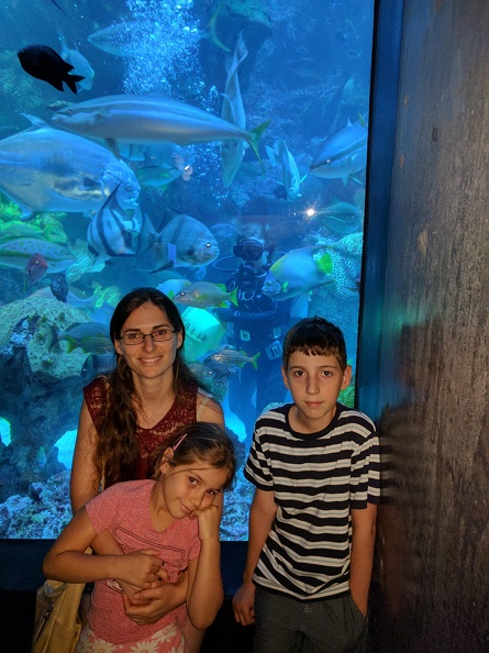 IMG 20170709 153920