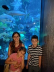 IMG 20170709 153920