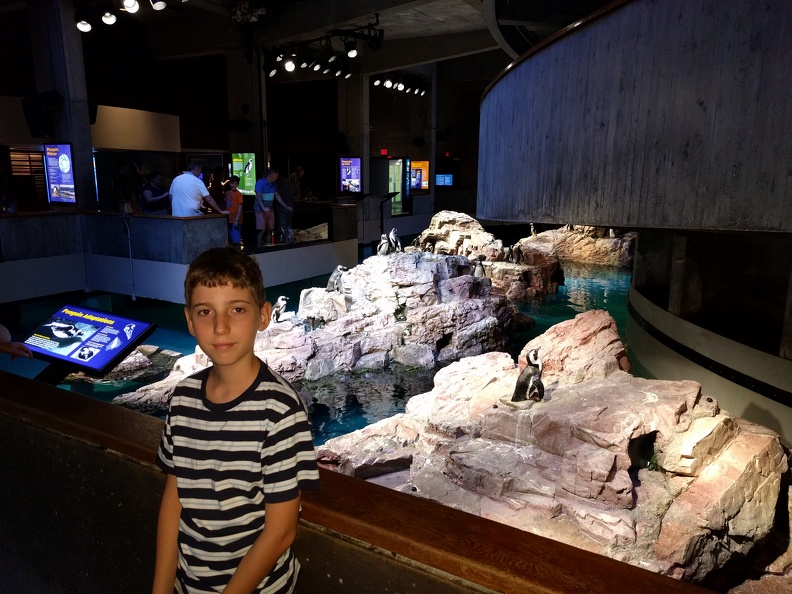 IMG 20170709 113841