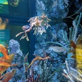 IMG 20170709 125544