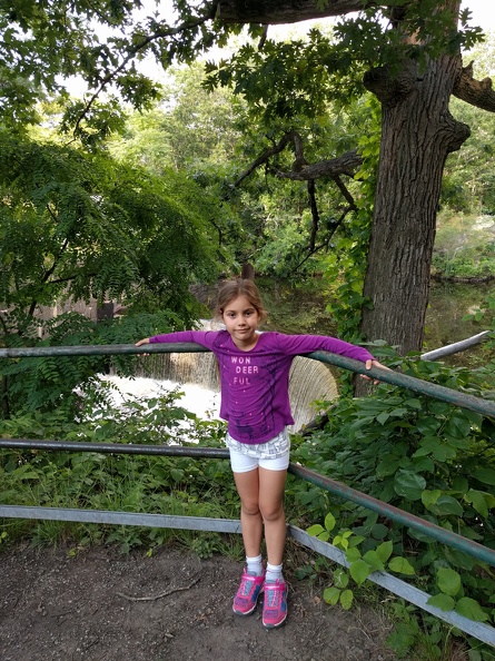 IMG 20170715 182712