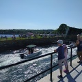 IMG_20170716_154648.jpg