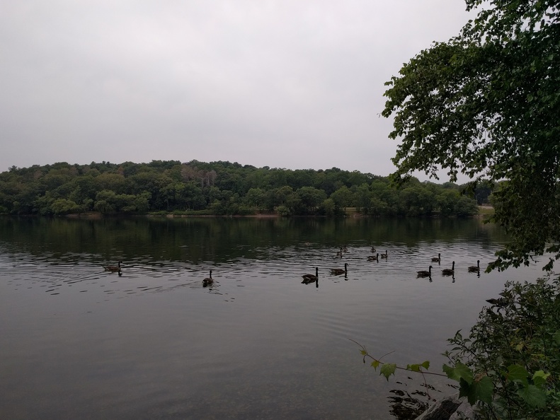 Jamaica Pond 1