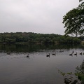 Jamaica Pond 1