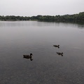 Jamaica Pond 2