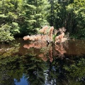 Great Brook Farm 1