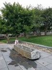 IMG 20170805 154620