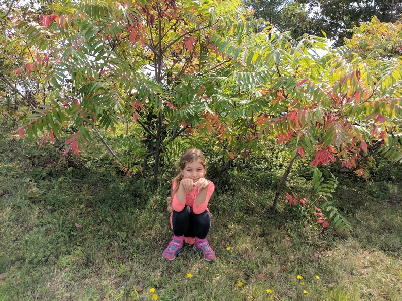 IMG 20170917 122740