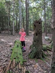 IMG 20170917 131307