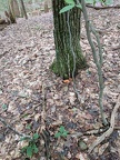 IMG 20170917 131622