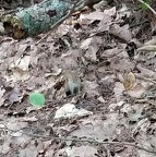 IMG 20170917 132719