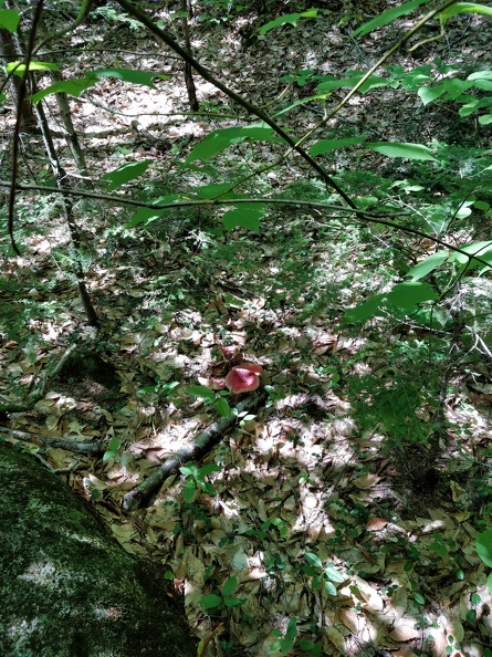 IMG 20180827 132600
