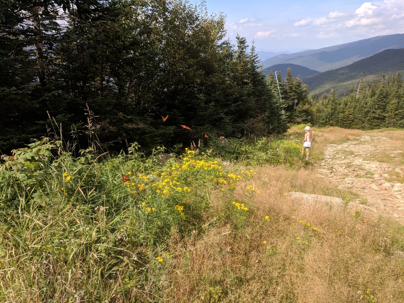 IMG 20180829 153317