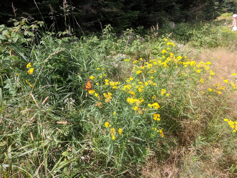 IMG 20180829 153326