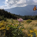 IMG 20180829 153520