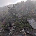 IMG 20180830 180604