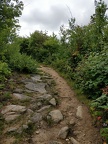 IMG 20180831 110757