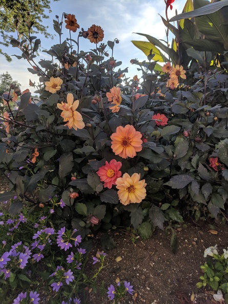 IMG 20180831 175012