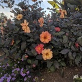 IMG 20180831 175012