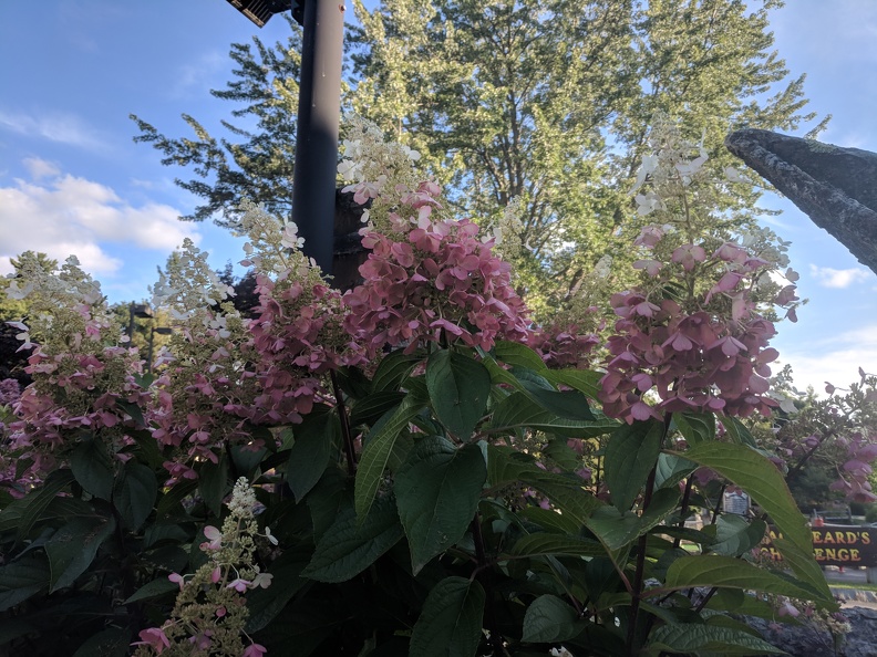 IMG 20180831 175117
