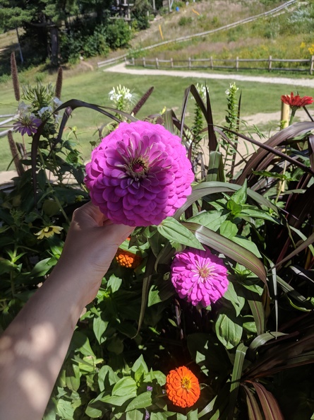 IMG 20180830 140253