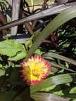 IMG 20180830 140313