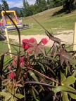 IMG 20180830 140413