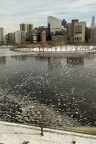 Frozen Charles River
